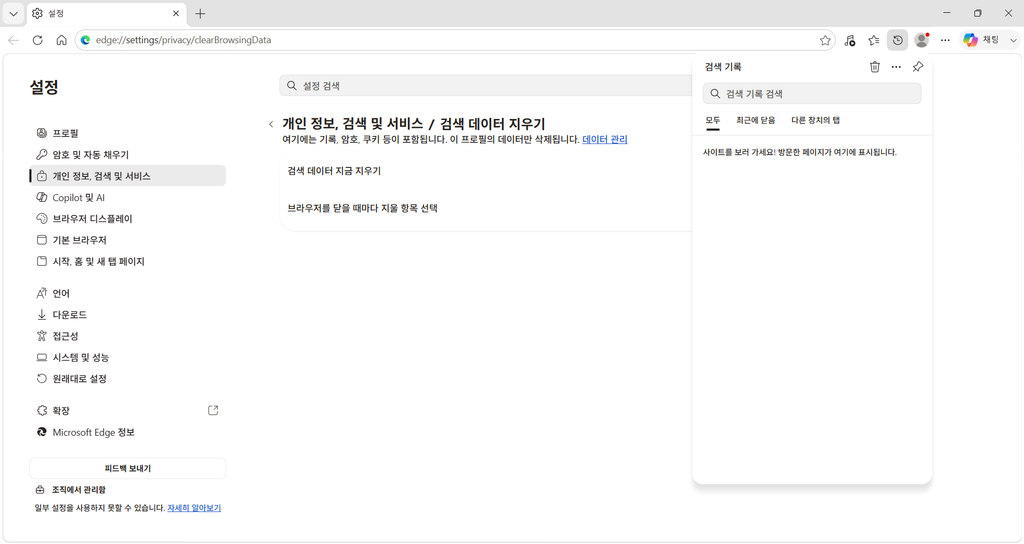 Microsoft Edge 검색 기록을 삭제한 후 기록이 비어 있는 화면